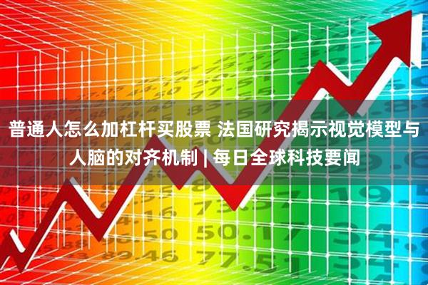 普通人怎么加杠杆买股票 法国研究揭示视觉模型与人脑的对齐机制 | 每日全球科技要闻