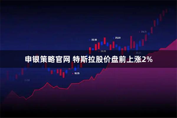 申银策略官网 特斯拉股价盘前上涨2%